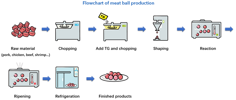 Methods of TG-B Standard Transglutaminase Meatball
