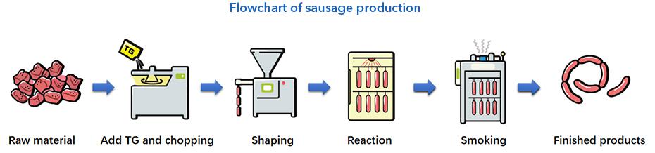 Methods of TG-B Standard Transglutaminase Sausage