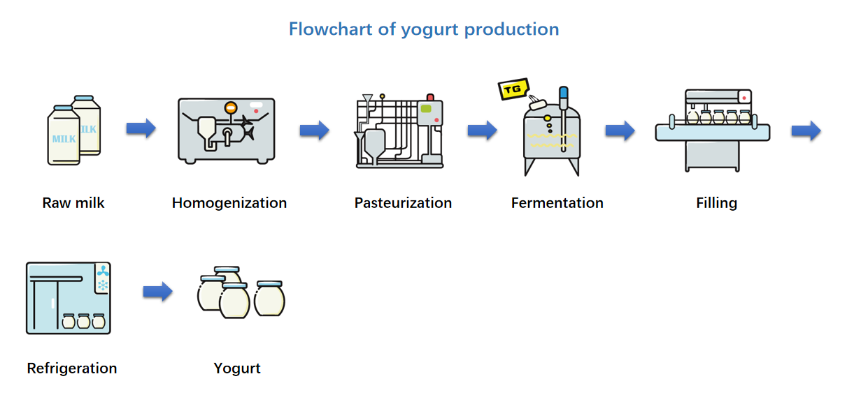 Methods of TG-DR Transglutaminase for Dairy