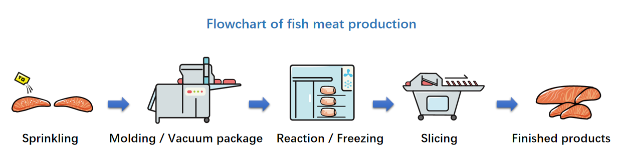 Methods of TG-SF Binding for Seafood