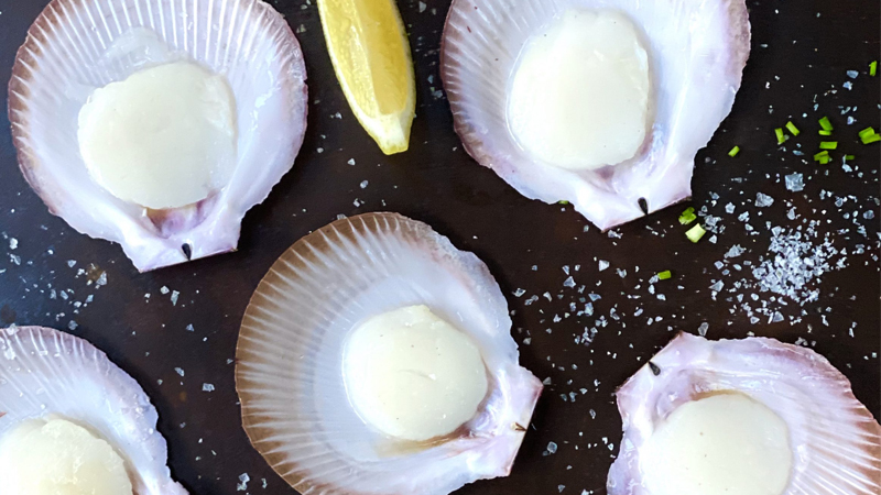 Natural Food Enhancers In Scallops