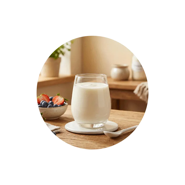 Yogurt-Flavored Solid Beverage